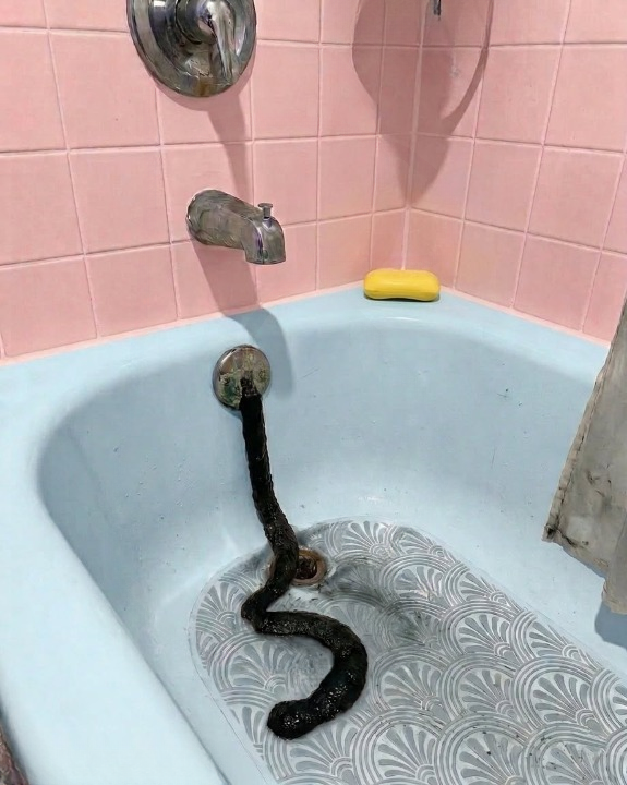 A Strange Moment at Home That Turned Out to Be Completely Normal