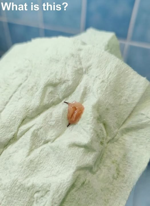 A Strange Moment in the Bathroom That Turned Out to Be Completely Harmless