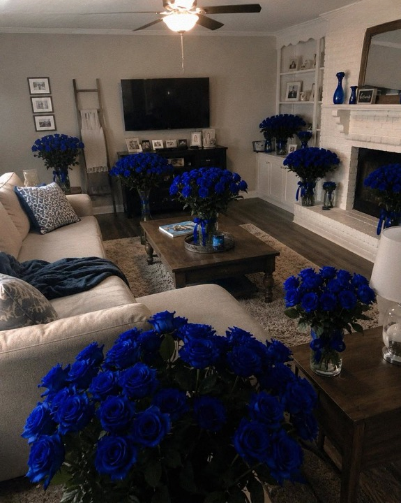Every Morning While My Husband Was Traveling, Forty Blue Roses Arrived at My Door—The Mystery Behind Them Changed Everything I Thought I Knew