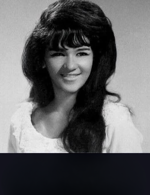 Remembering a Beloved 1960s Music Star: Celebrating a Life, a Legacy, and the Timeless Songs That Continue to Inspire Generations