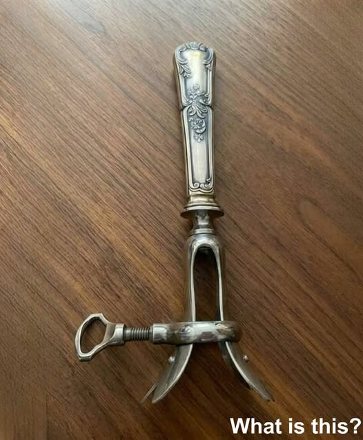 A Forgotten Keepsake Hidden in My Grandmother’s Drawer Became the Beginning of an Unforgettable Family Journey