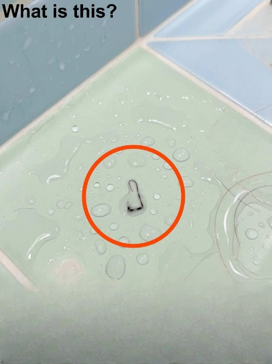 An Unexpected Shower Surprise: How One Ordinary Morning Turned Into a Memorable Story