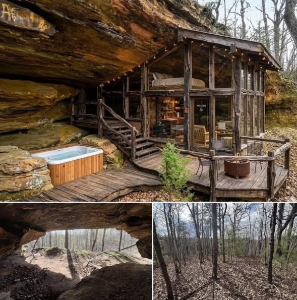 Discover the Potential of This 8.8-Acre Country Property Listed for $50,000