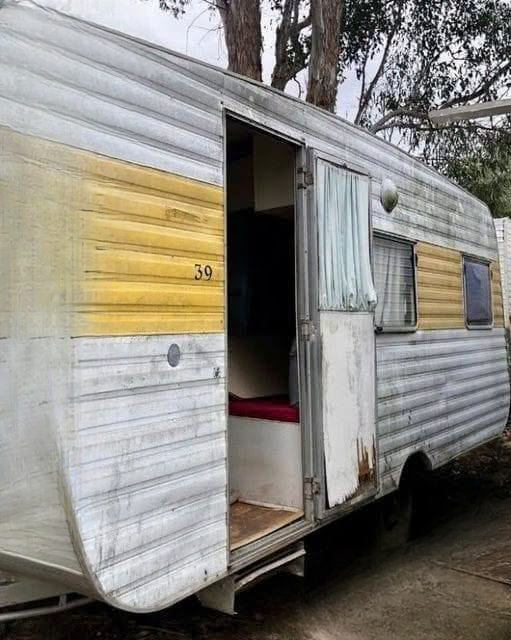 From an Abandoned Trailer to a Peaceful Forest Retreat: How One Woman Found Hope, Community, and a Fresh Start
