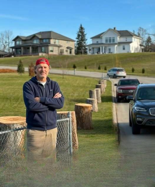 When Mature Trees Were Removed Near a Property Line: A Homeowner’s Perspective on Communication, Property Rights, and Responsible Land Management