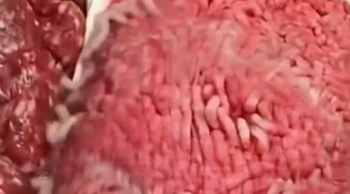 Understanding Viral Food Claims: Why It’s Important to Verify Information Before Believing Headlines
