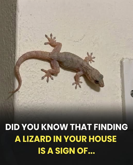 The Spiritual Meaning and Symbolism of Lizards in Your Home
