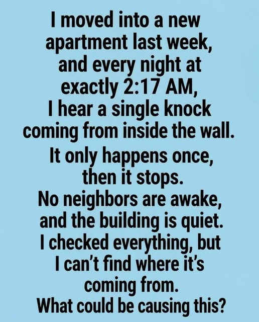 The Mysterious Knock at 2:17 A.M.: How One Strange Noise Turned Into an Unexpected Lesson About Apartment Living
