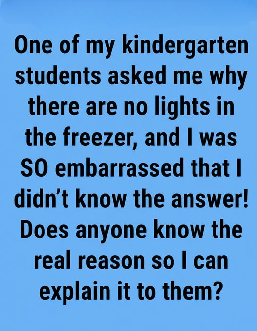 Why Many Freezers Don’t Have a Light: The Practical Reasons Behind This Everyday Design Choice