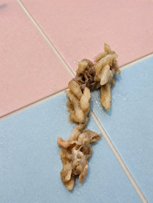 I Found Something Strange in My Girlfriend’s Bathroom—and the Real Explanation Was Much Simpler Than I Expected