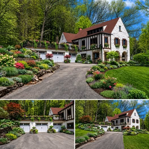 A Return to a Slower Rhythm: Exploring the Possibilities of the Clearfield Estate