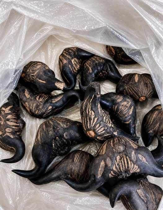 The Mystery on the Porch: How an Unfamiliar Vegetable Became a Meaningful Gift from Next Door