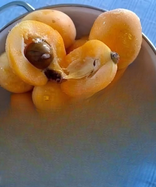 What Fruit Is This? Meet the Sweet, Juicy, and Surprisingly Flavorful Loquat