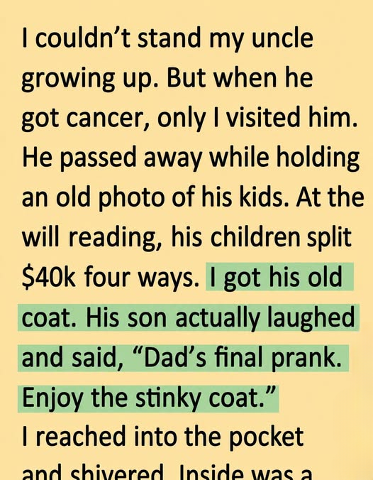 The $600,000 Coat: How One Unusual Inheritance Turned Into the Last Laugh for a Nephew