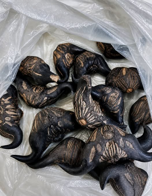 My Neighbor Gave Me a Bag of These Strange Green Vegetables—Nobody Knew What They Were Until I Finally Asked
