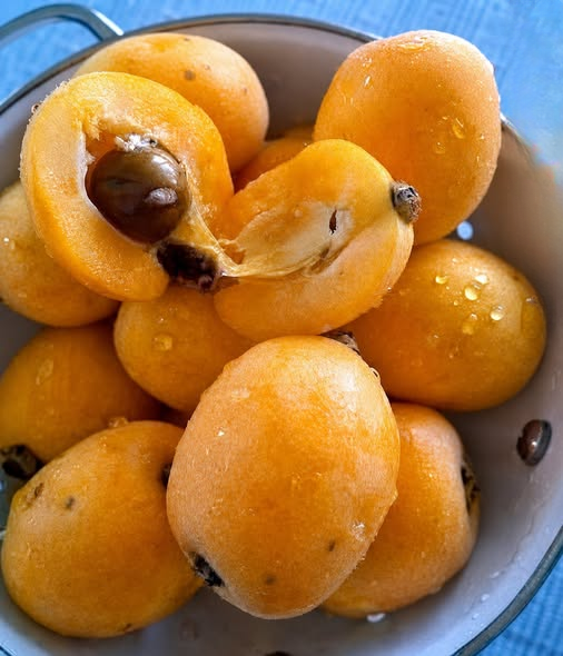 The Golden Loquats Taught Me That Love Sometimes Means Letting Go
