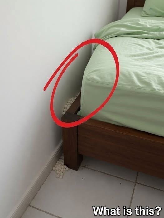 I Came Home After a Long and Exhausting Day at Work, Ready to Relax and Get Some Much-Needed Rest—Then I Noticed Something Unexpected Beside My Bed