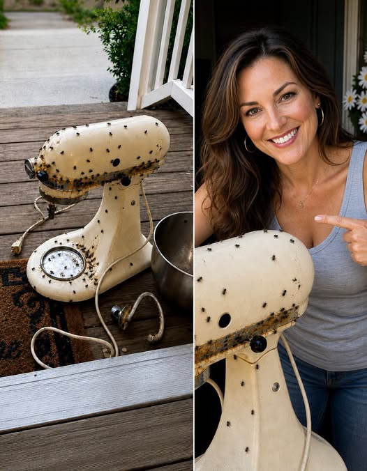 My Neighbor Kept Borrowing My Things—Until She Damaged My Late Mother’s Mixer