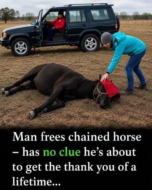 He Saw Someone Struggling and Quietly Offered a Helping Hand Without Asking for Anything in Return—What Happened Afterward Became a Beautiful Reminder of the Kindness That Still Exists in the World