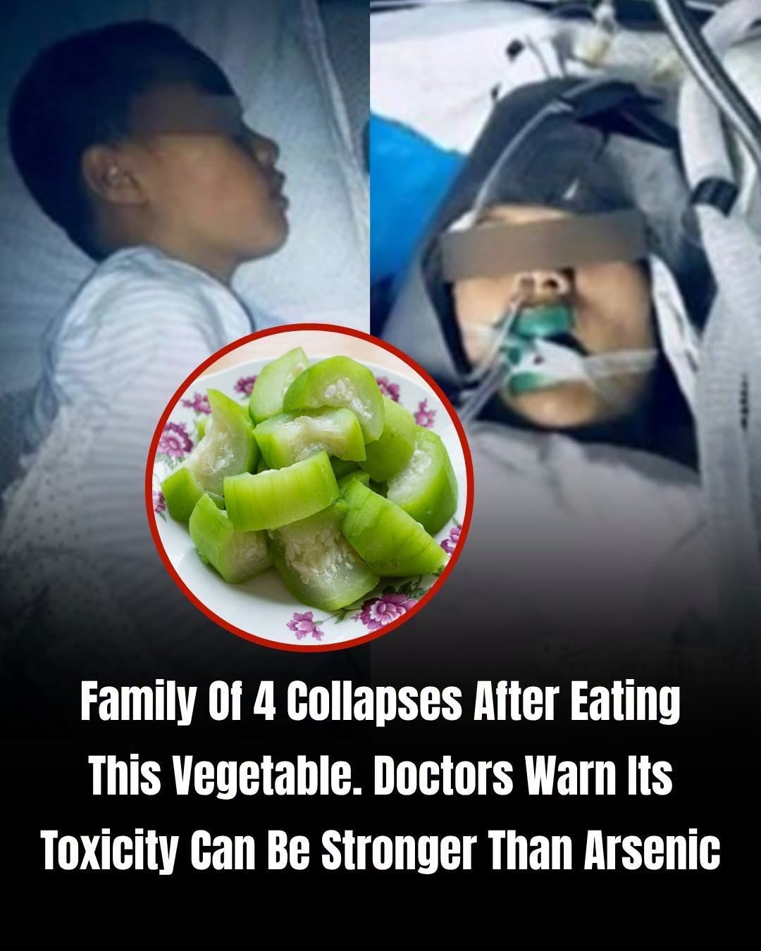 Doctors and Food-Safety Experts Encourage Caution With Certain Bitter Vegetables: What You Should Know About Natural Compounds, Proper Preparation, and Safe Eating Habits