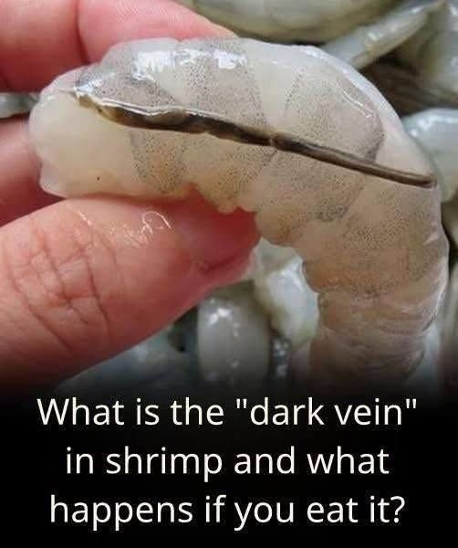The Shrimp “Vein” Explained: What That Dark Line Really Is, Why Cooks Often Remove It, and What You Should Know Before Preparing Shrimp at Home