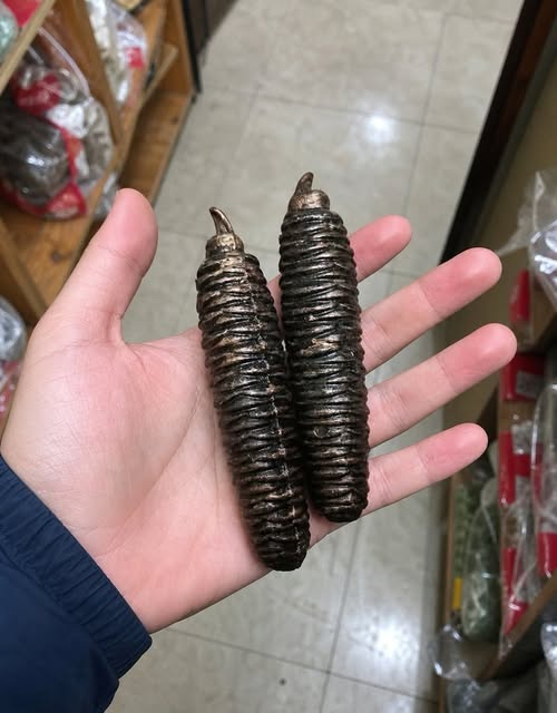 We Thought We Had Found Old Christmas Decorations in Grandma’s House—But These Heavy Vintage Objects Were Something Completely Different