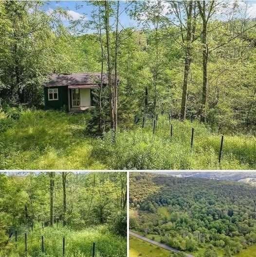 A Quiet Home With No Close Neighbors Has Just Seen a Major Price Reduction—Could This Be the Affordable Property Buyers Have Been Waiting For?