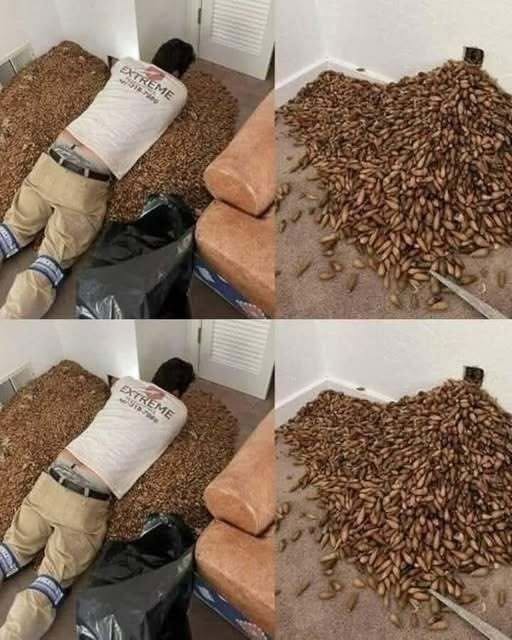A Strange and Unexplained Smell Filled His House for Days, So He Finally Investigated the Wall—and What He Discovered Left Him Completely Surprised
