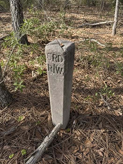 A Hiker Spotted This Mysterious Knee-High Concrete Structure Beside an Abandoned Road in the Woods — What Could It Have Been Used For?