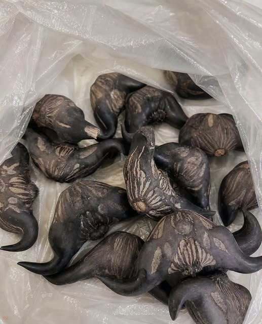 My Neighbor Gave Me a Bag of These Unfamiliar Foods, and I Have No Idea What They Are or the Best Way to Prepare Them—Can Anyone Help Me Identify Them?