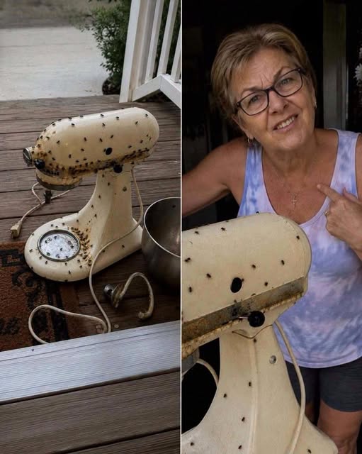 My Neighbor Kept Borrowing My Kitchen Appliances—Then One Came Back Damaged