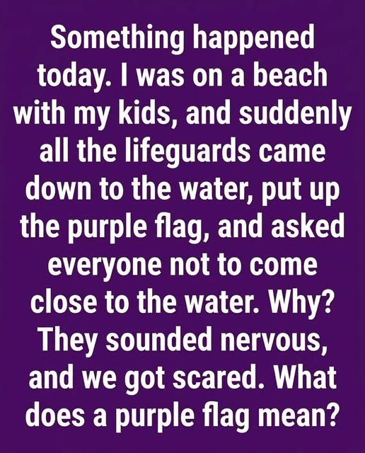 What a Purple Beach Flag Means and Why Every Beachgoer Should Know It