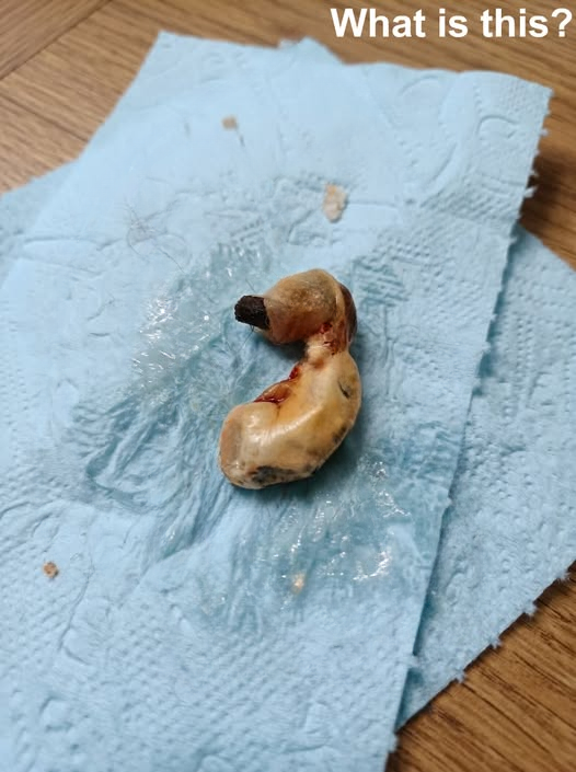 I Found Something Strange in My Son’s Room While Cleaning — The Explanation Surprised Us Both