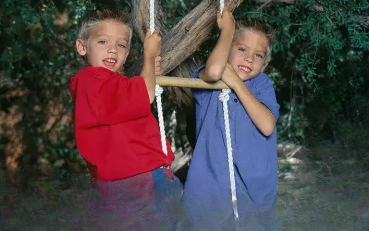 Cole and Dylan Sprouse: How Two Famous Twins Learned to Follow Their Own Paths
